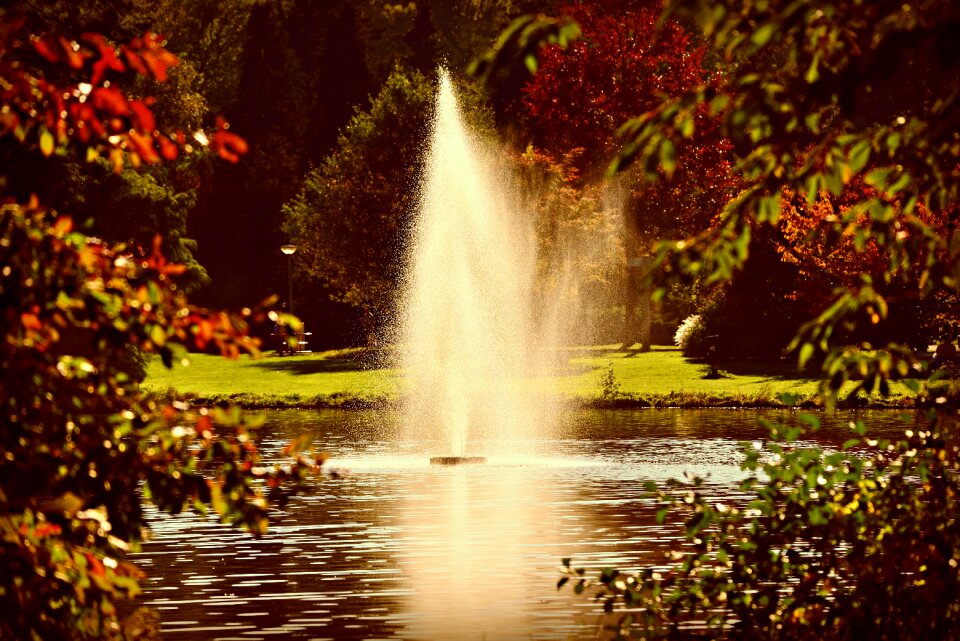 Spouting pond grass