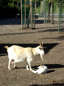 Parc bordelais photo