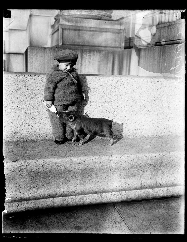 Title: Child feeding pig with bottle
Abstract/medium: 1 negative : glass ; 4 x 5 in. or smaller