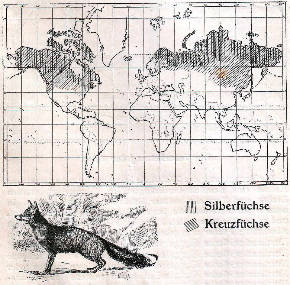 Weltkarte der Verbreitung der Silberfüchse und der Kreuzfüchse (1910).