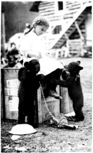 Young girl sitting with bear cubs. Caption: "No. 4. More -- we're 'awful' hungry."