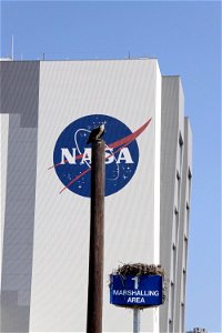 At NASA's Kennedy Space Center in Florida, an adult osprey guards its young in a nest built on a platform in the Press Site parking lot. In the background is the 12,300-square-foot NASA logo painted o
