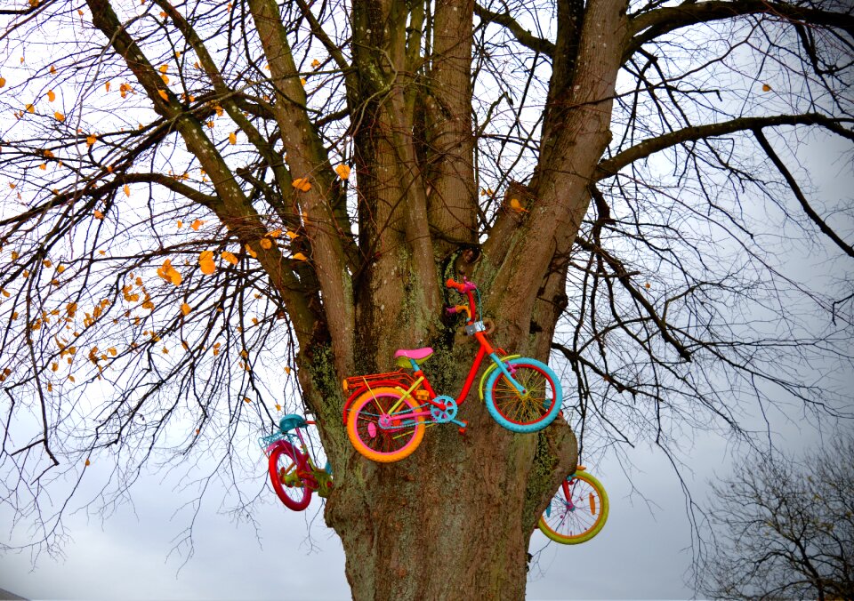 Bicycles colorful crown