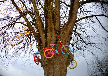 Bicycles colorful crown