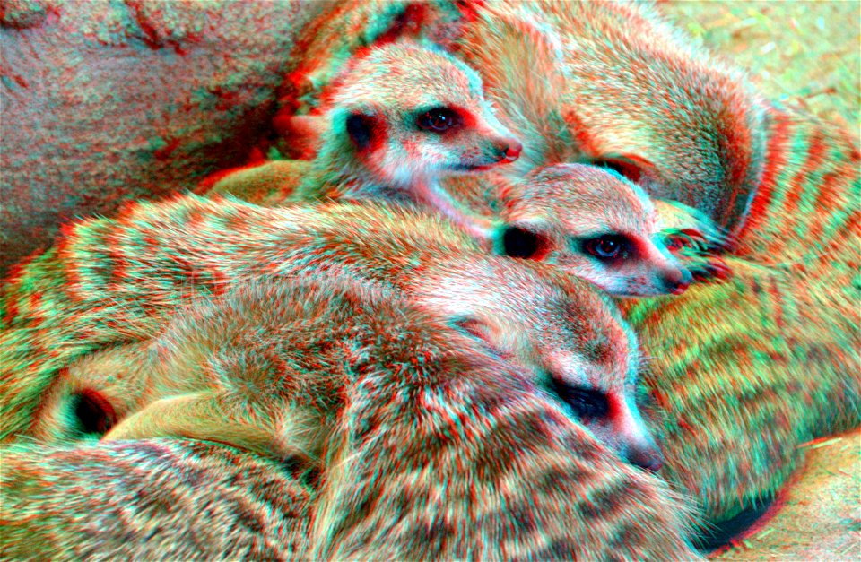 anaglyph stereo red-cyan