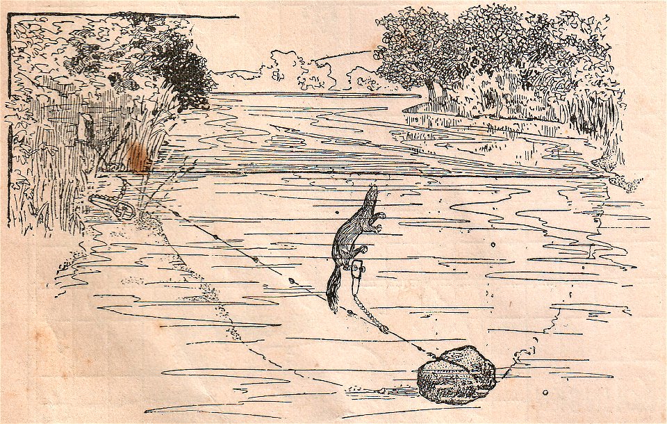 In die Falle gegangener Pekan (Fischermarder).