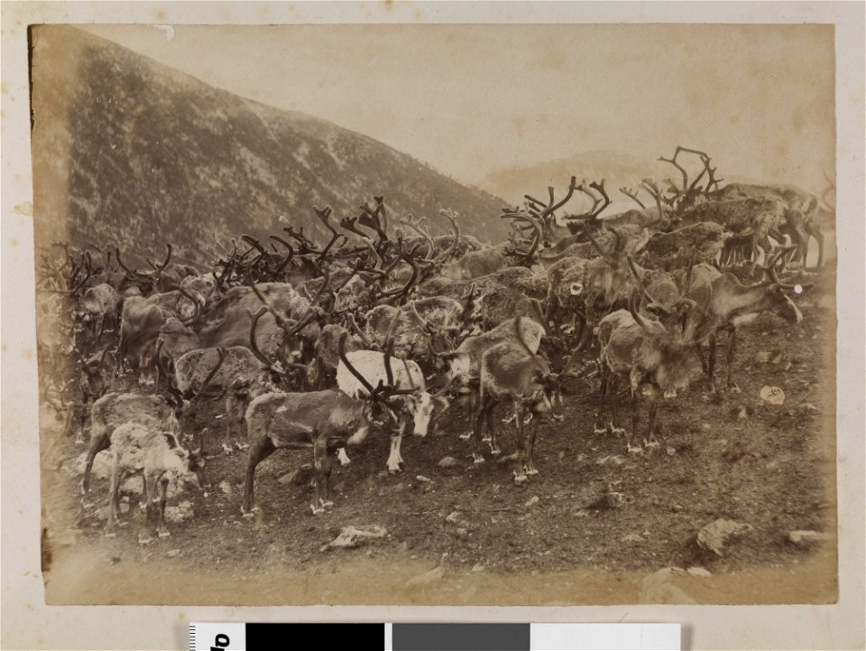 Bildet er hentet fra Nasjonalbibliotekets bildesamling. Anmerkninger til bildet var: Fotograf er muligens Axel Lindahl