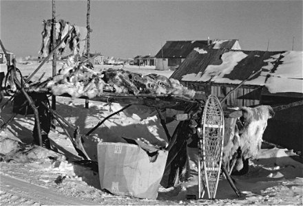 Image title: Raised platform with butchered caribou or reindeer Image from Public domain images website, http://www.public-domain-image.com/full-image/vintage-photography-public-domain-images-pictures photo