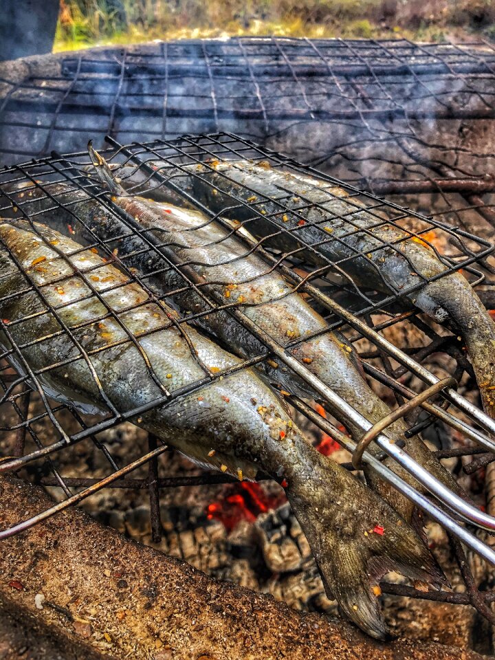 Halstraus blackened grilled
