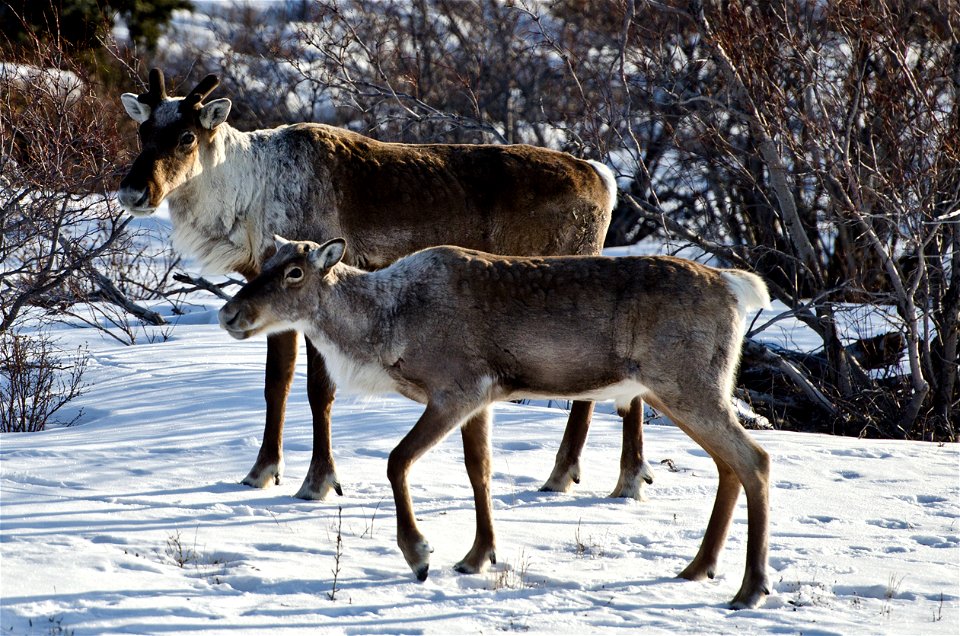(NPS Photo/Katie Thoresen)