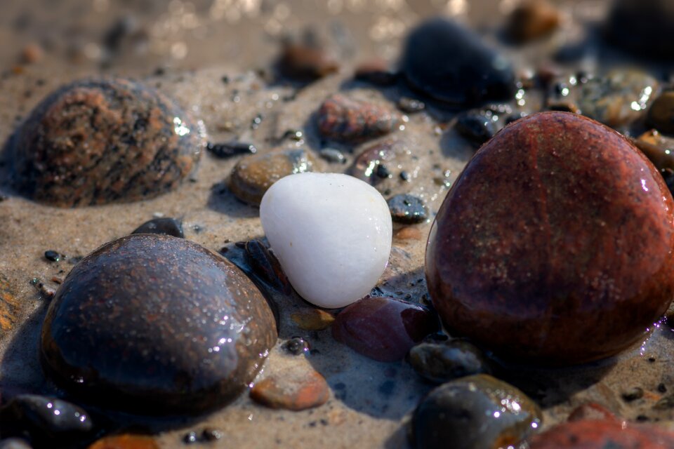 Rock coast north sea