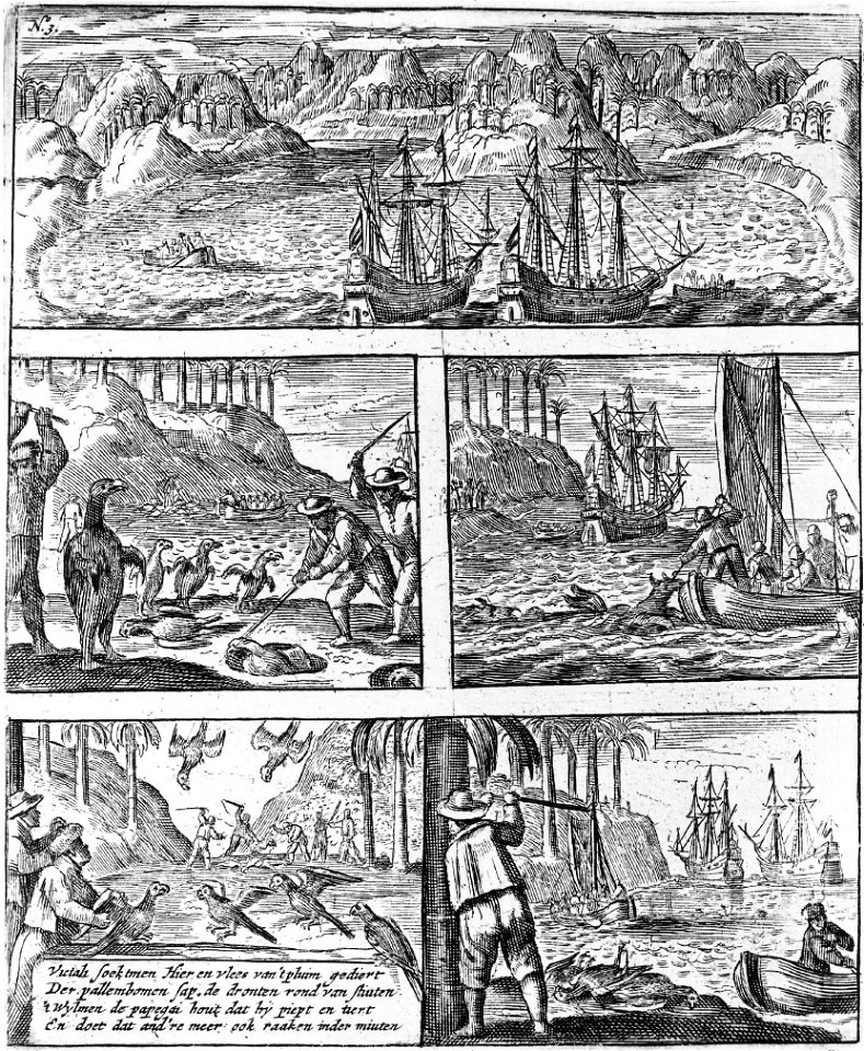 A hunt on dodos for food. The text with the engraving reads:
Nourishment men seek here and flesh of't plumed creatures
Of the palm trees' sap, the dodos round of hinds
All while men the parrot hold th