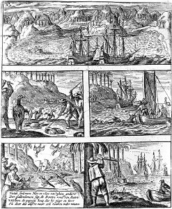 A hunt on dodos for food. The text with the engraving reads:
Nourishment men seek here and flesh of't plumed creatures
Of the palm trees' sap, the dodos round of hinds
All while men the parrot hold th