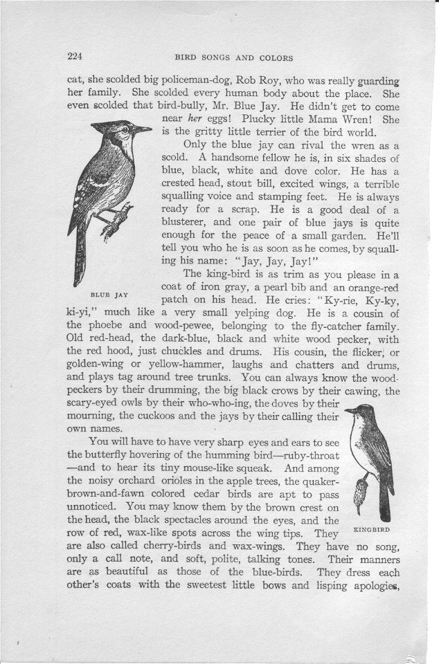 Page 224 from The How and Why Library