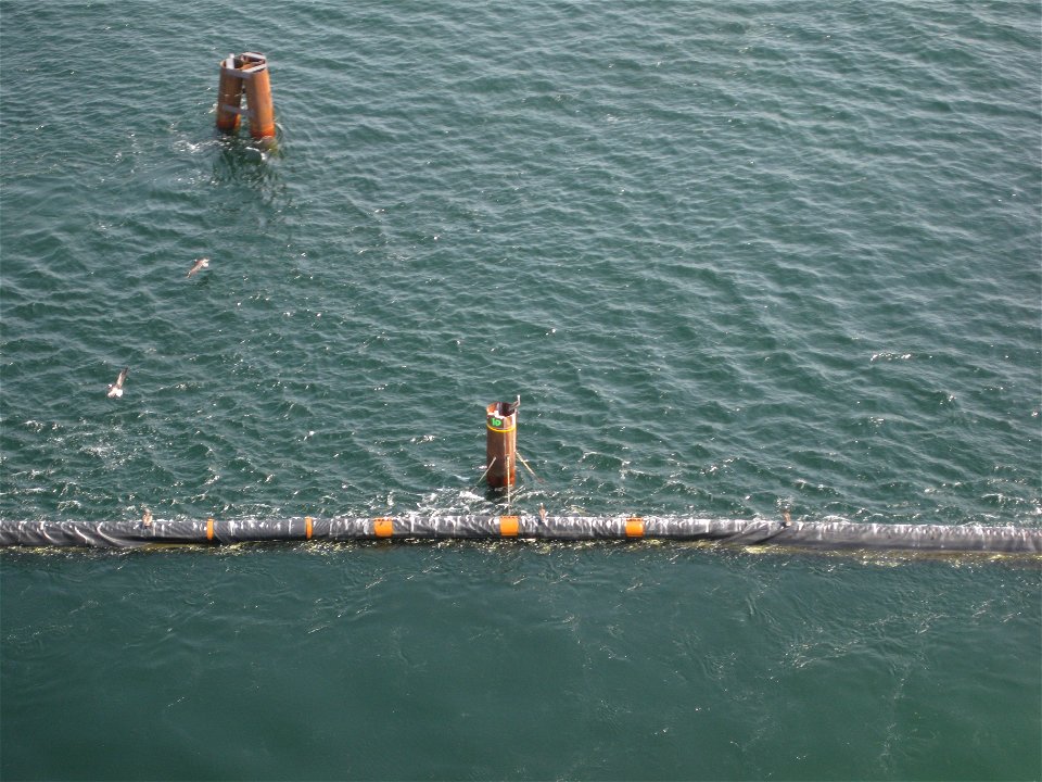 July 23, 2010, Panama City, FL - Brown pelicans were seen perched atop a number of structures including this piling in St. Andrews Bay. This image was taken during an aerial survey from a helicopter a