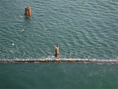 July 23, 2010, Panama City, FL - Brown pelicans were seen perched atop a number of structures including this piling in St. Andrews Bay. This image was taken during an aerial survey from a helicopter a