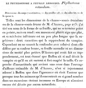 Protolog of Desmodus rotundus description