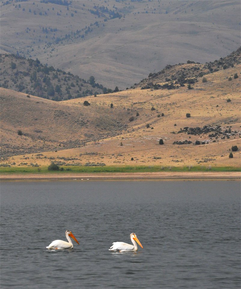 Along the Nez Perce National Historic Trail, Clark Canyon Reservoir south of Dillon, MT.  US Forest Service photo, by Roger Peterson