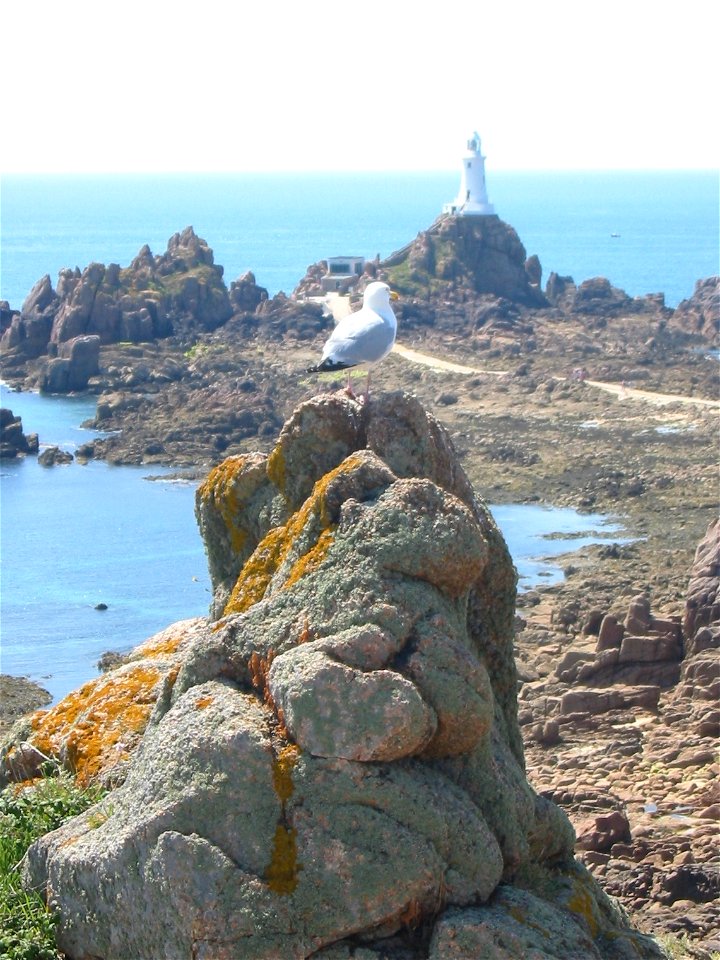 La Corbière lighthouse, Jersey, low tide