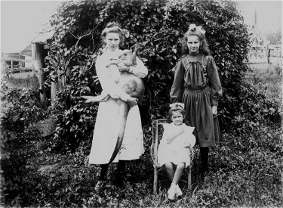 Three girls and a kangaroo, 1900-1910. The girls pose in a garden in front of a shed covered in creepers. The girl on the right stands and holds the kangaroo aloft. The youngest girl sits in a small, photo