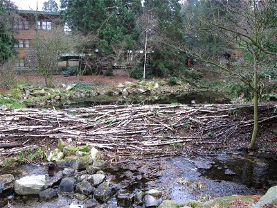 Simili beaver dam in the Sequoia Lodge hotel à Disneyland resort Paris, France.