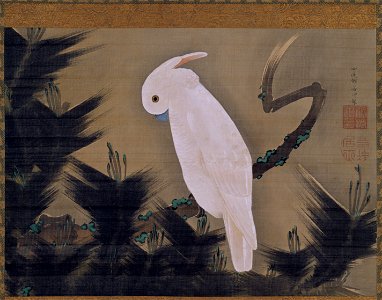White Cockatoo on a Pine Branchtitle QS:P1476,en:"White Cockatoo on a Pine Branch"
label QS:Len,"White Cockatoo on a Pine Branch"
