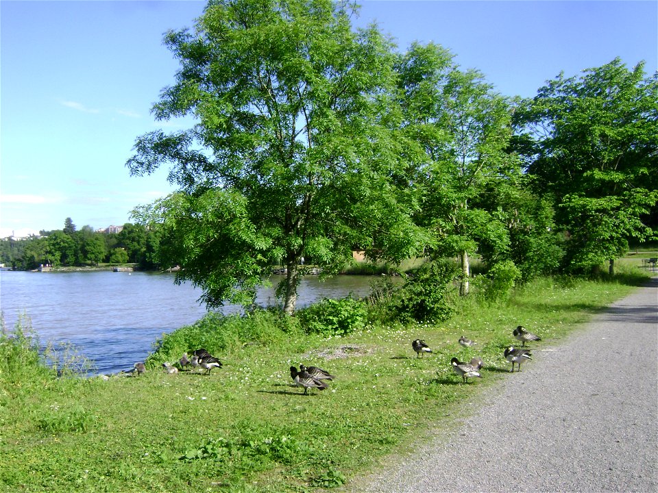 Sweden. Stockholm. Djurgården
