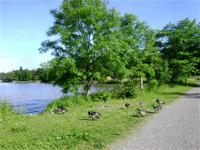 Sweden. Stockholm. Djurgården photo