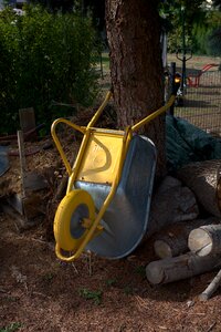 Wood tree transport