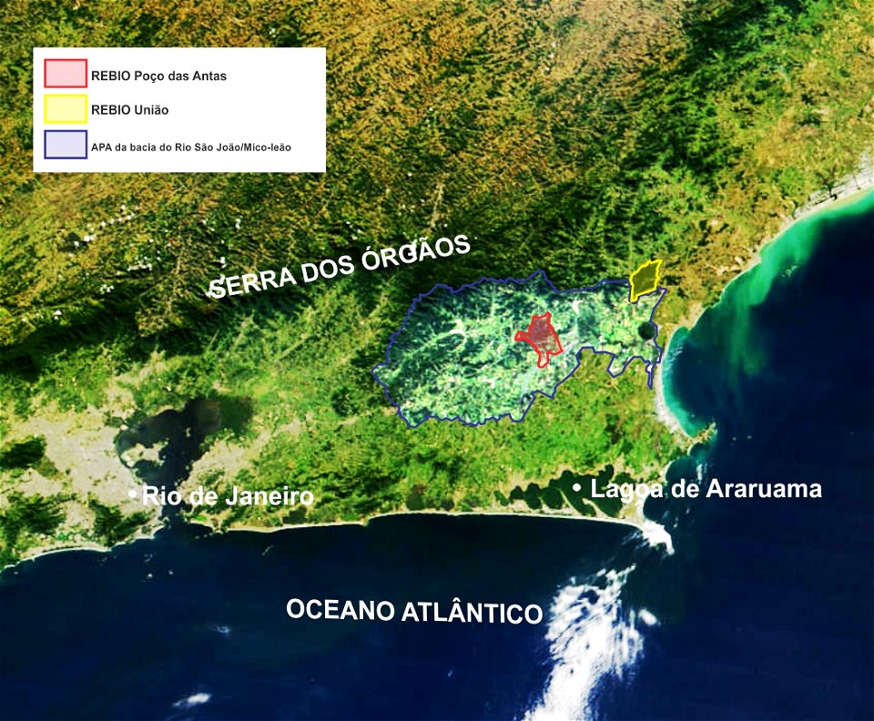 Conservation units of golden lion tamarin, Rio de Janeiro state, Brazil:
Blue line: São João Basin Environmental Protection Area (category V (IUCN) - Protected Landscape/Seascape)
Red line: Poço das A