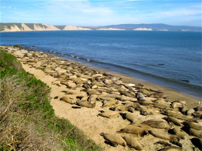 North Drakes Beach Colony