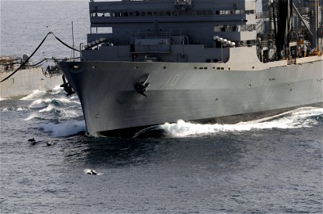 GULF OF OMAN (Oct. 15, 2008) Dolphins jump out of the water off the bow of the Military Sealift Command fast combat support ship USNS Bridge (T-AOE 10) during a replenishment at sea between Bridge and photo