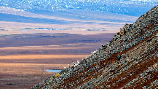 Gates of the Arctic National Park and Preserve photos by Zak Richter/NPS photo