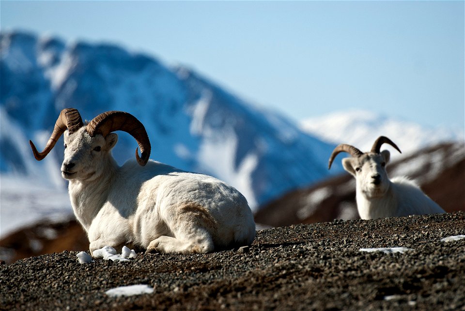 (NPS Photo/Katie Thoresen)