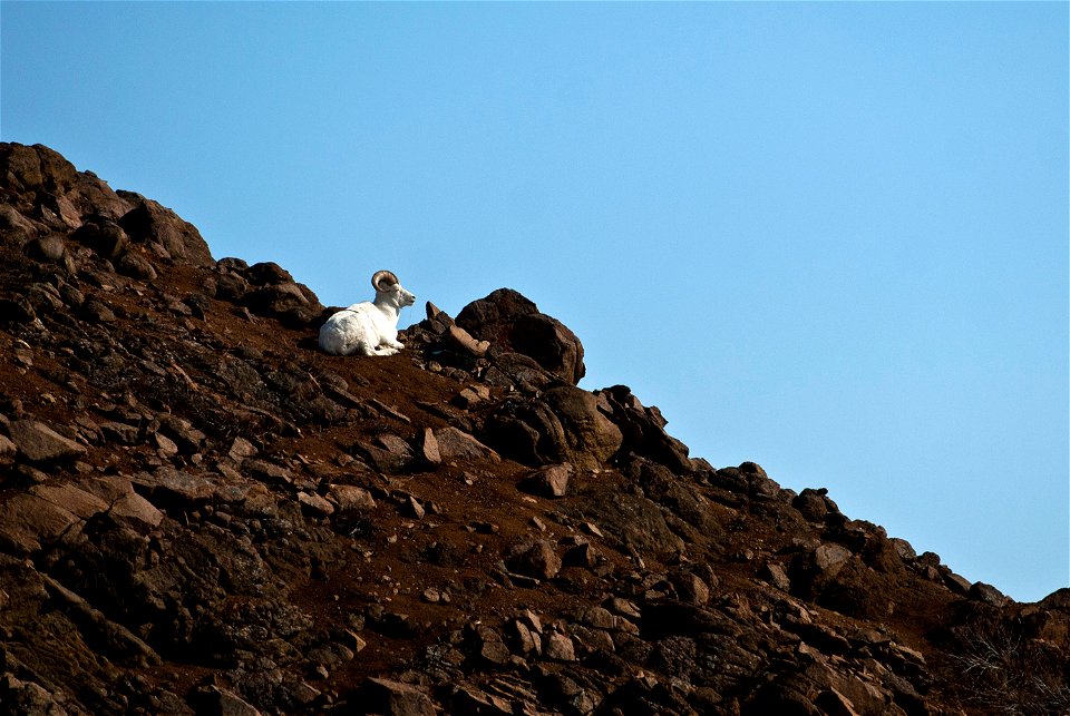 (NPS Photo/Katie Thoresen)