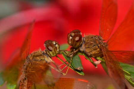 Meeting love romantic