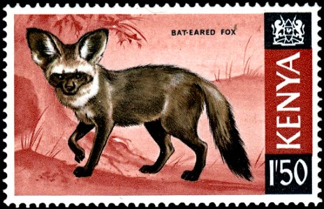 Postage stamp of Kenya. Depicting a bat-eared fox. Value is 1.50 Kenyan shillings. photo