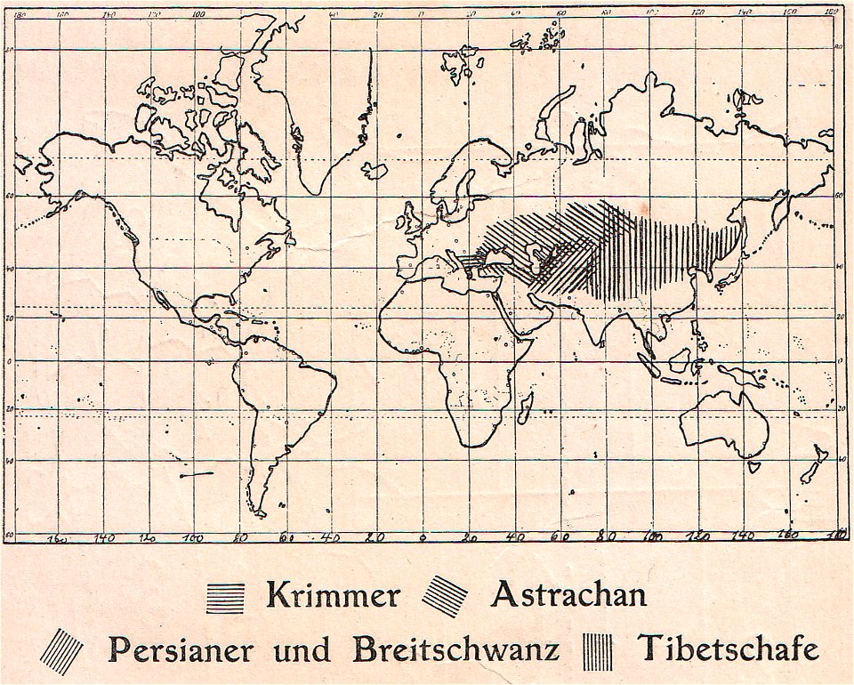 Weltkarte Verbreitung Krimmer, Astrachan, Persianer und Breitschwanz, Tibetschafe (1910).