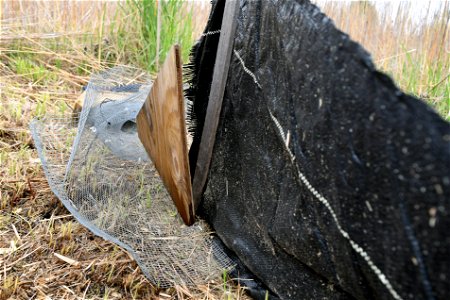 Temporary fences are used to direct eastern massasauga rattlesnakes to traps for research. The state of Michigan is conducting this federally funded project through the Service's State Wildlife Grant photo