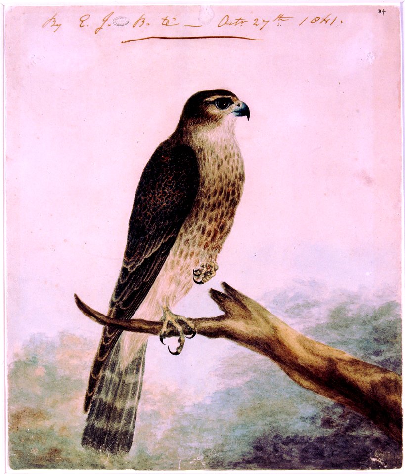 Signed and dated by artist.