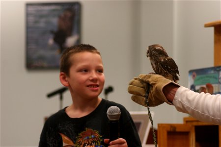 Live bird demonstration


Credit: USFWS