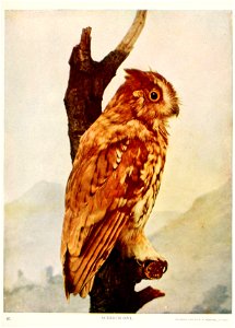 41 
bCKEECH (i\S L 

COPiaiOMT 1»00, tit « w. UUUFOIID, CM1C«00