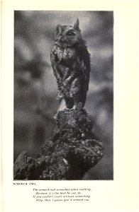 Music of the wild, with reproductions of the performers, their instruments and festival halls, by Gene Stratton-Porter.