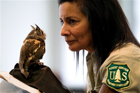 Jo Santiago, a wildlife biologist and a raptor rehabilitation specialist, handles Isaiah, an Eastern Screech Owl during a presentation in Washington D.C., April 24, 2019. (Forest Service photo by Tany