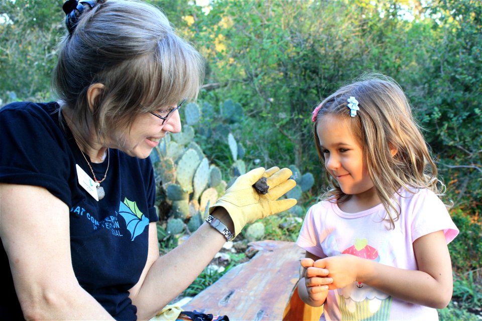 BCI educator Dianne Odegard shows visitor a Mexican free-tailed bat

photo credit: USFWS/Ann Froschauer
