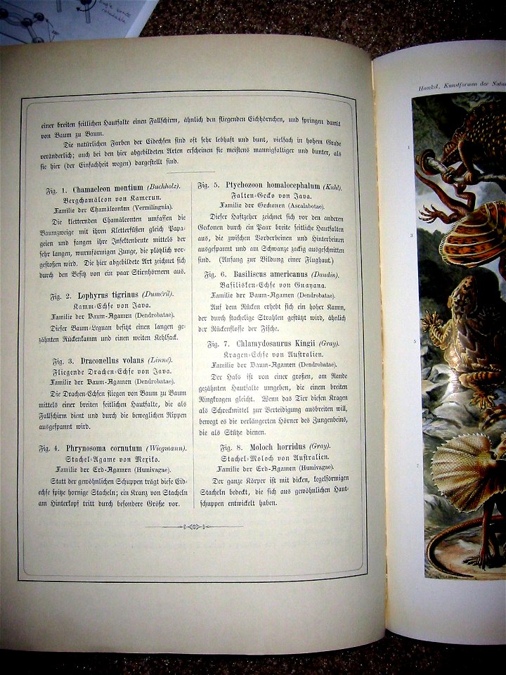 Full text description (in German) of: