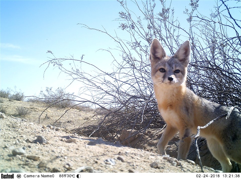 Photo by Caroline Woods, BLM.