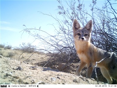 Photo by Caroline Woods, BLM.