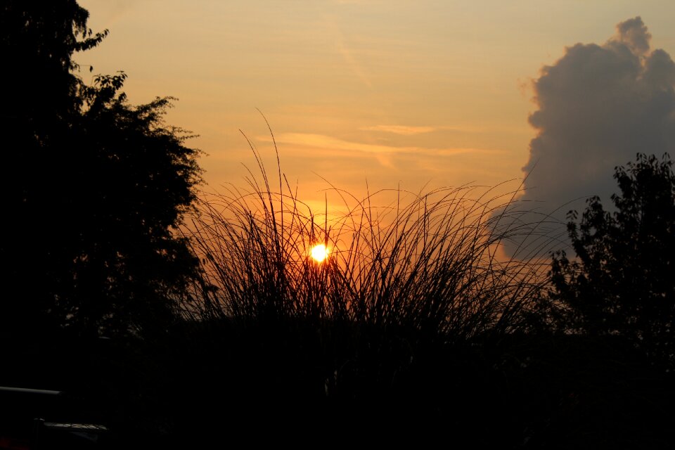 Mood evening clouds