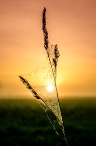 Landscape horizon morning